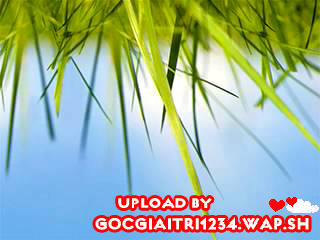 GocGiaiTri1234.Wap.Sh